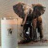Elephant - Image 3
