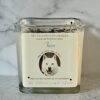 Pet Celebration - cube - Image 4