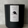 Raven Spirit