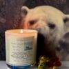 endangered species - Image 2