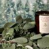 Mistletoe - Image 4