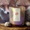 fox + baby - Image 2