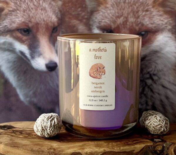 fox + baby - Image 2