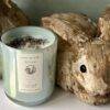 Bunnies - Image 2