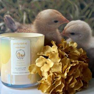 Chicks
