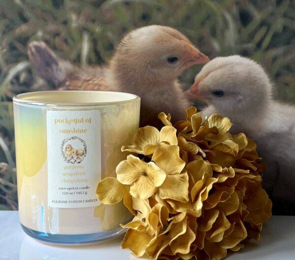 Chicks - Image 2